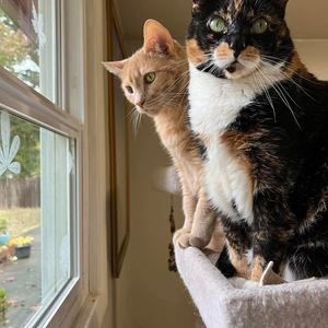 Meet your Posher, Katherine